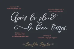 Beaufille Script