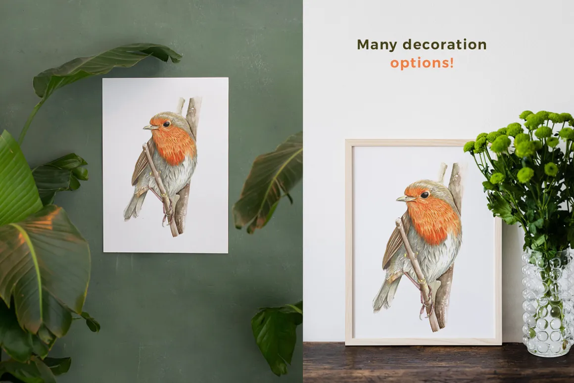 Beautiful Hand-painted Red Robin