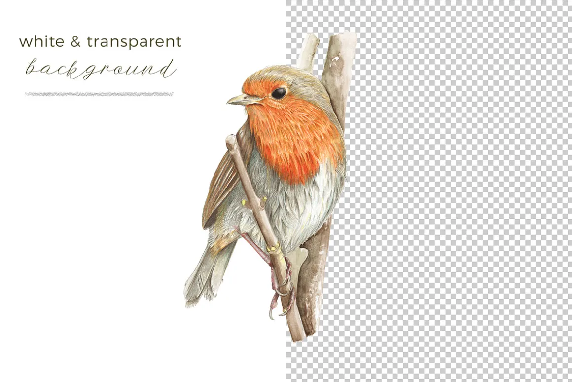 Beautiful Hand-painted Red Robin