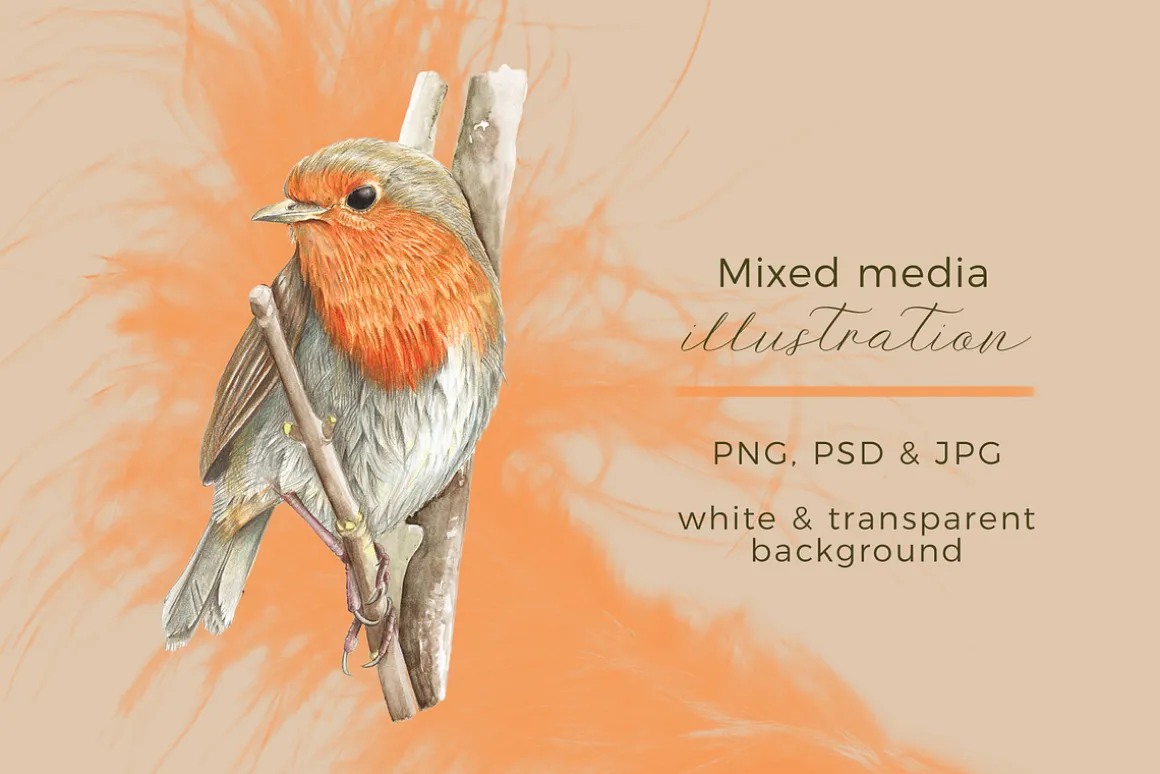 Beautiful Hand-painted Red Robin
