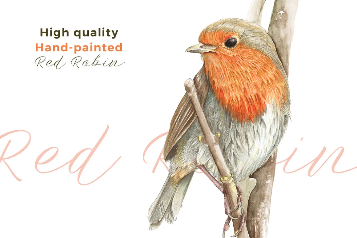 Beautiful Hand-painted Red Robin