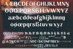 Behind The Nineties Sans 12 Fonts