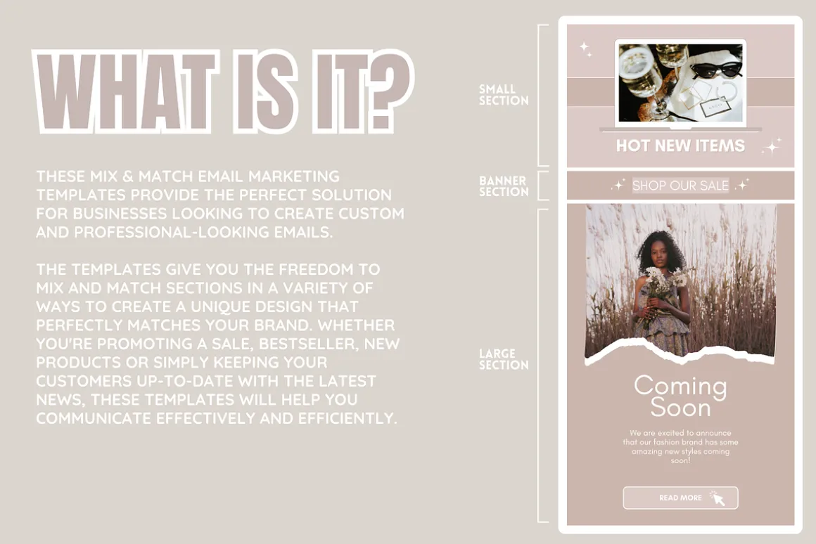 Beige Newsletter Templates