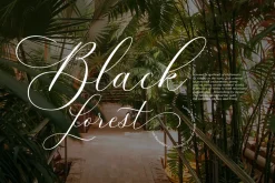 Beloved Lovely | Modern Calligraphy