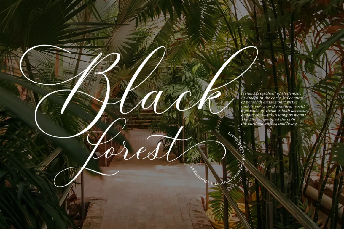 Beloved Lovely | Modern Calligraphy