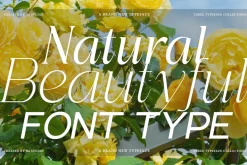 Bentona Athiroen (27 Fonts Style)
