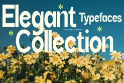 Bentona Athiroen (27 Fonts Style)