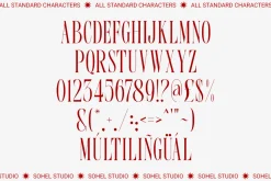 Bergu – Editorial Display Serif