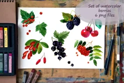 Berries, fruits, vegetables and nuts