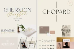 Bestseller Sans Serif Bundle