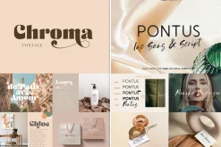 Bestseller Sans Serif Bundle