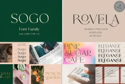 Bestseller Sans Serif Bundle