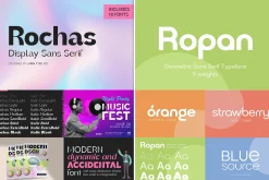 Bestseller Sans Serif Bundle