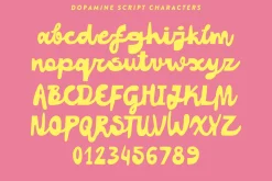 Best-sellers Vibe Fonts Bundle