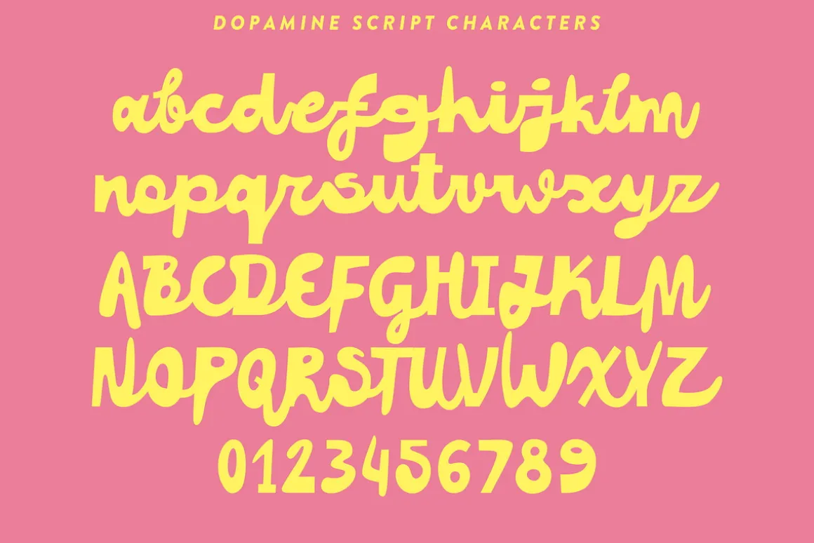 Best-sellers Vibe Fonts Bundle