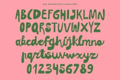 Best-sellers Vibe Fonts Bundle