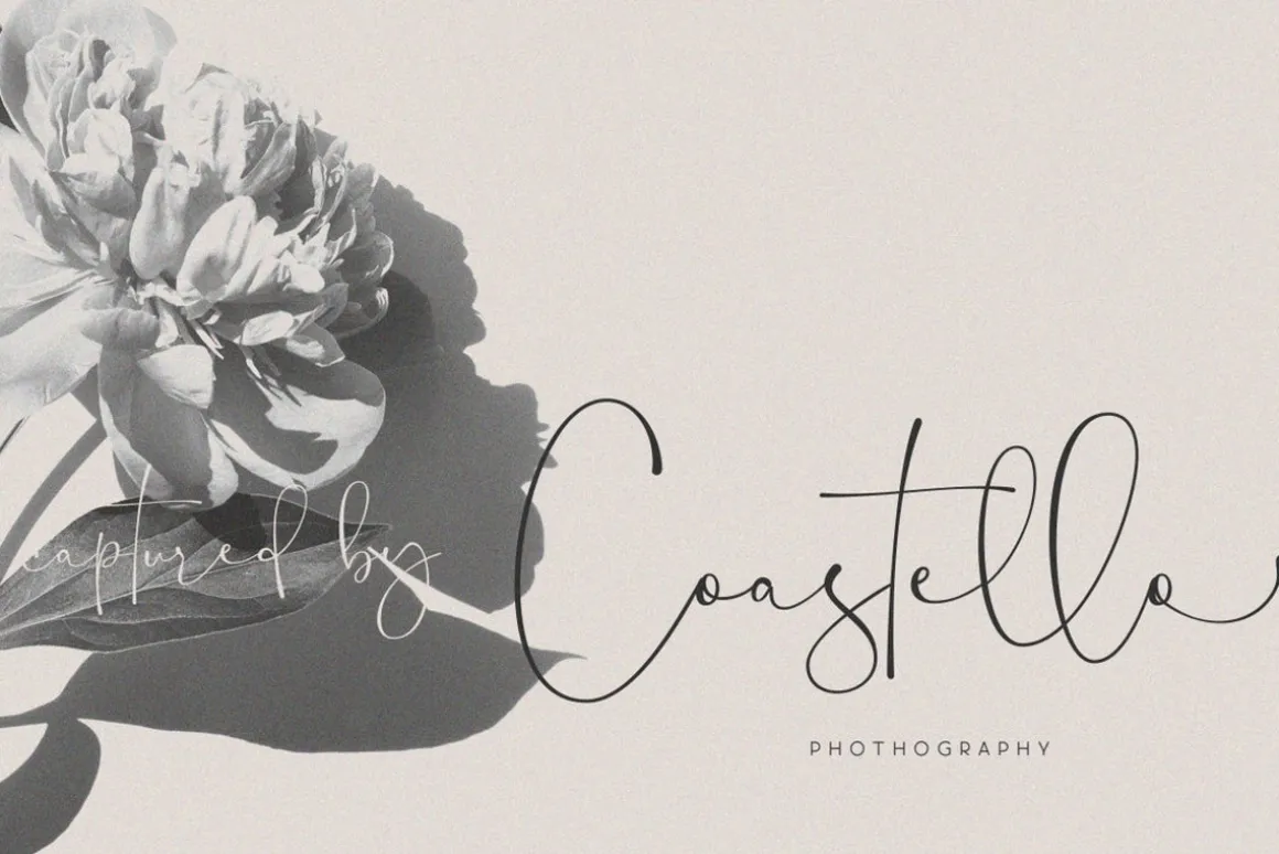 Bethany Script - Elegant Font