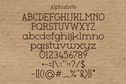 Be Type Reborn Lite Serif Font
