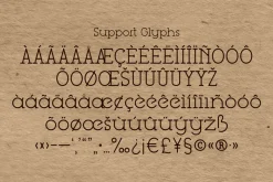 Be Type Reborn Lite Serif Font