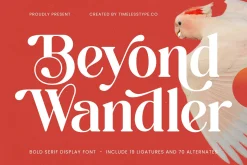 Beyond Wandler Modern Serif Font