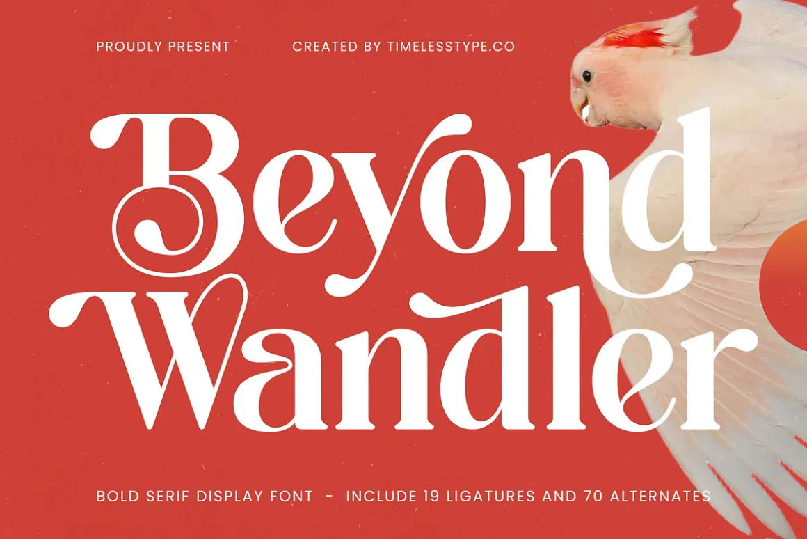 Beyond Wandler Modern Serif Font