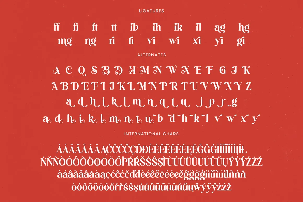 Beyond Wandler Modern Serif Font