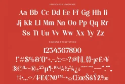 Beyond Wandler Modern Serif Font