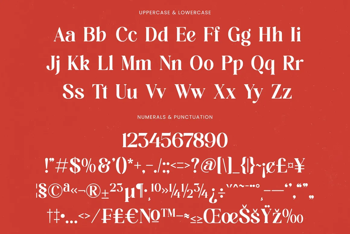 Beyond Wandler Modern Serif Font