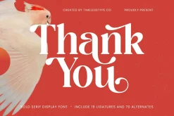 Beyond Wandler Modern Serif Font