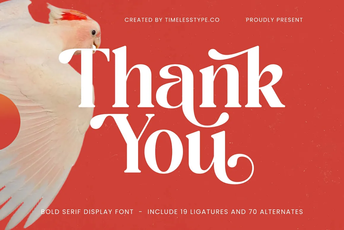 Beyond Wandler Modern Serif Font