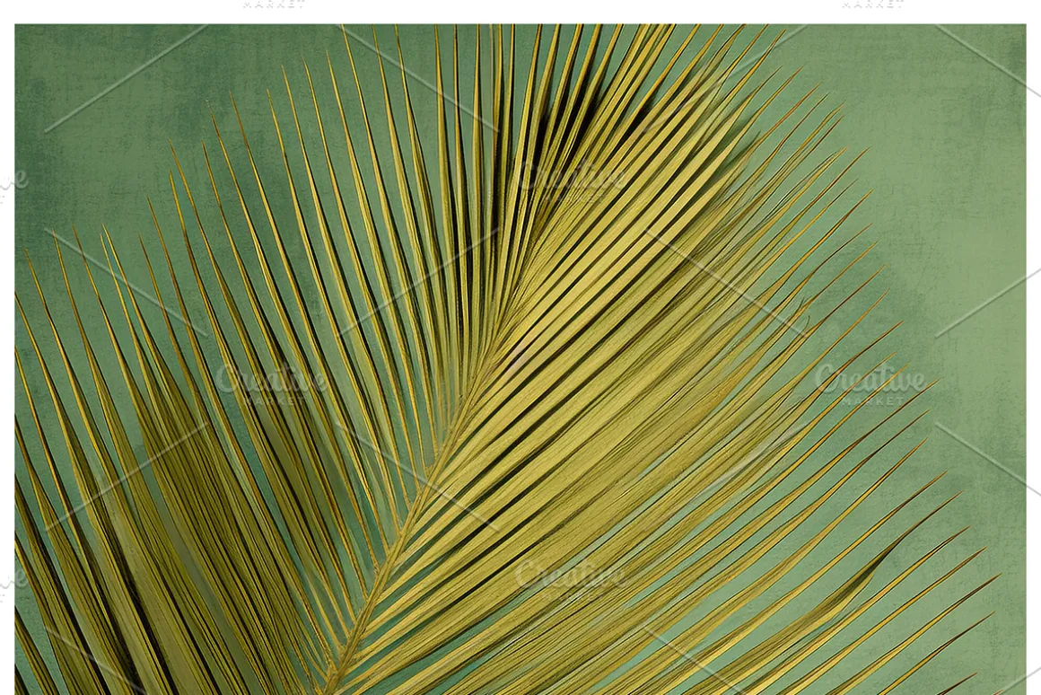 Bief Co · Botanical Leaf Backgrounds