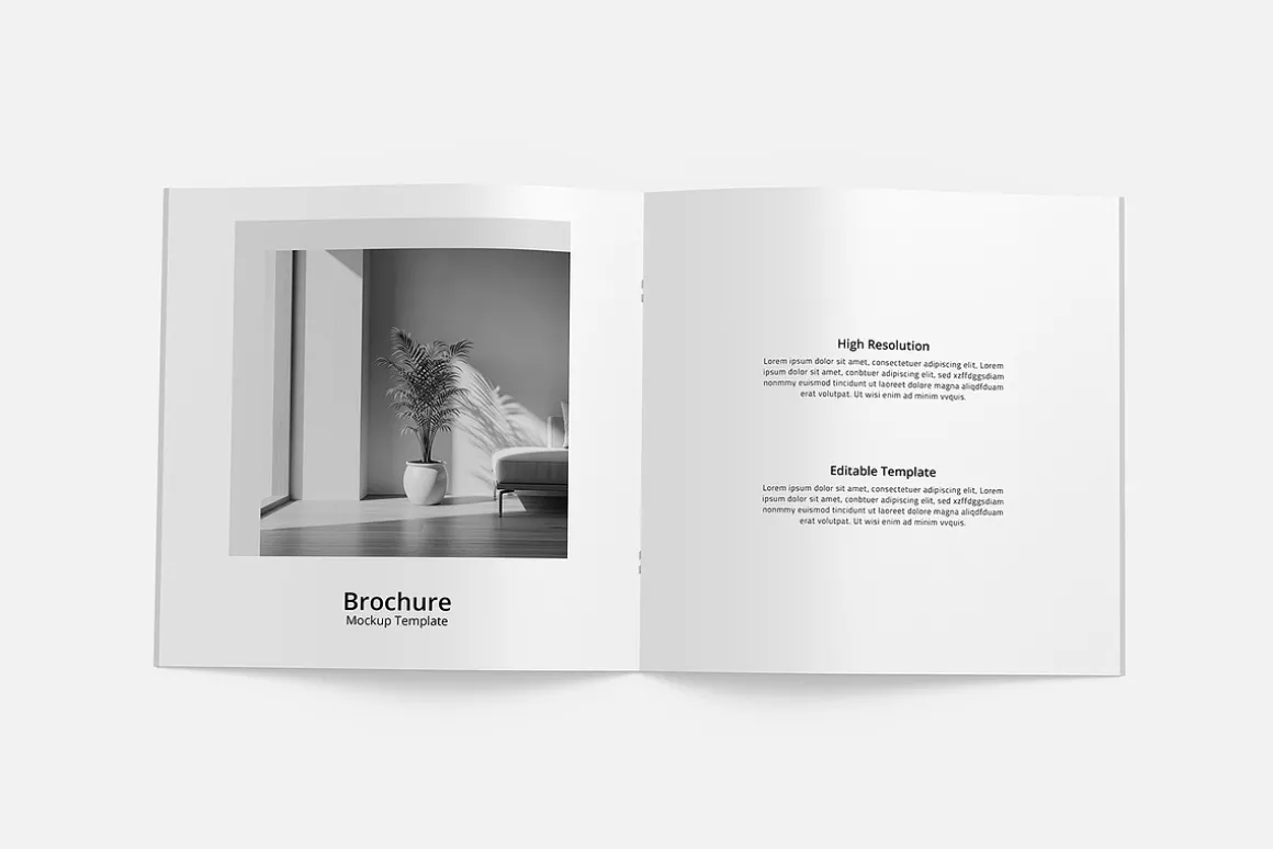 Bifold Square Brochure Mockup