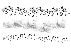 Birds Brush Set
