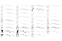 Birds Brush Set