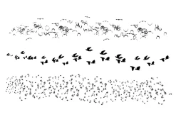 Birds Brush Set