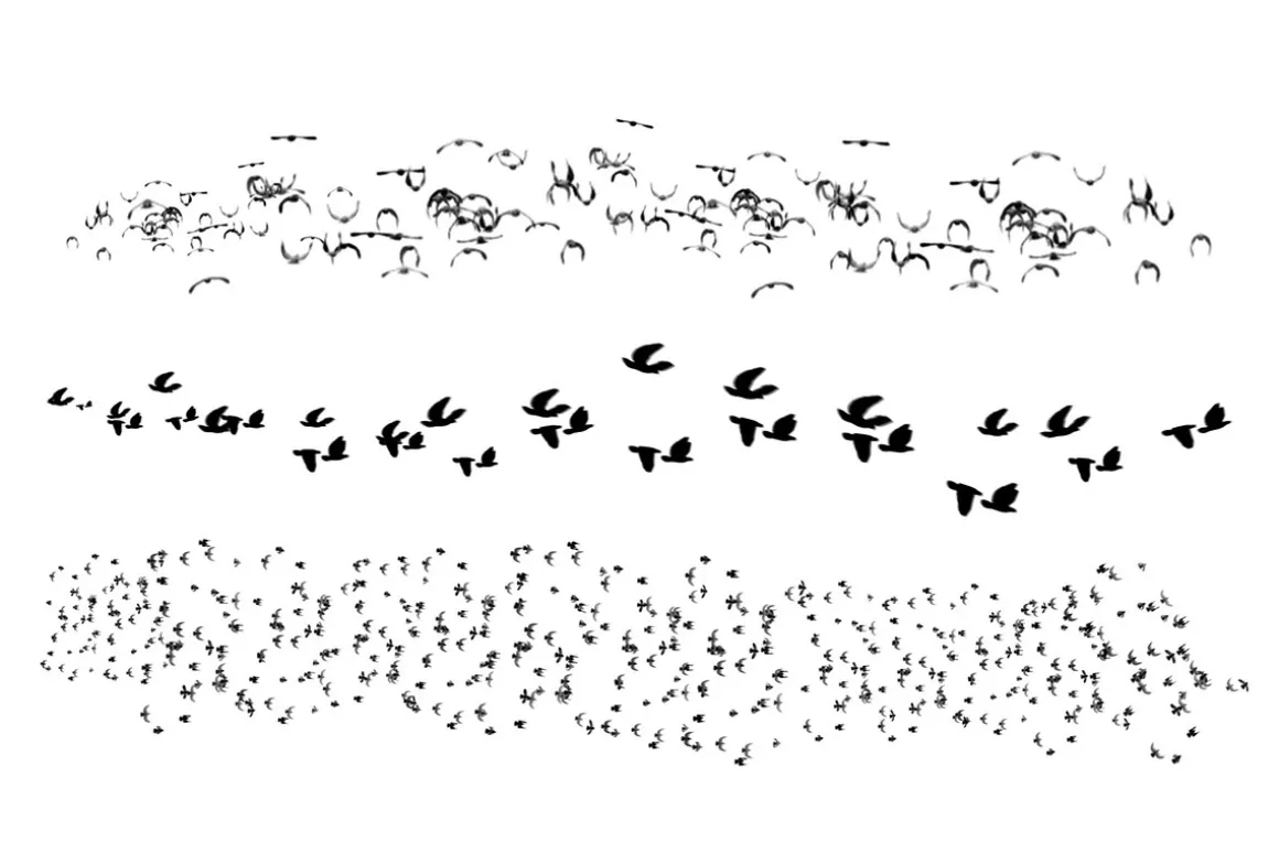 Birds Brush Set