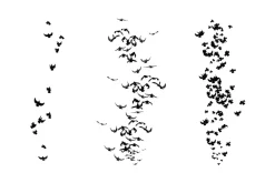 Birds Brush Set