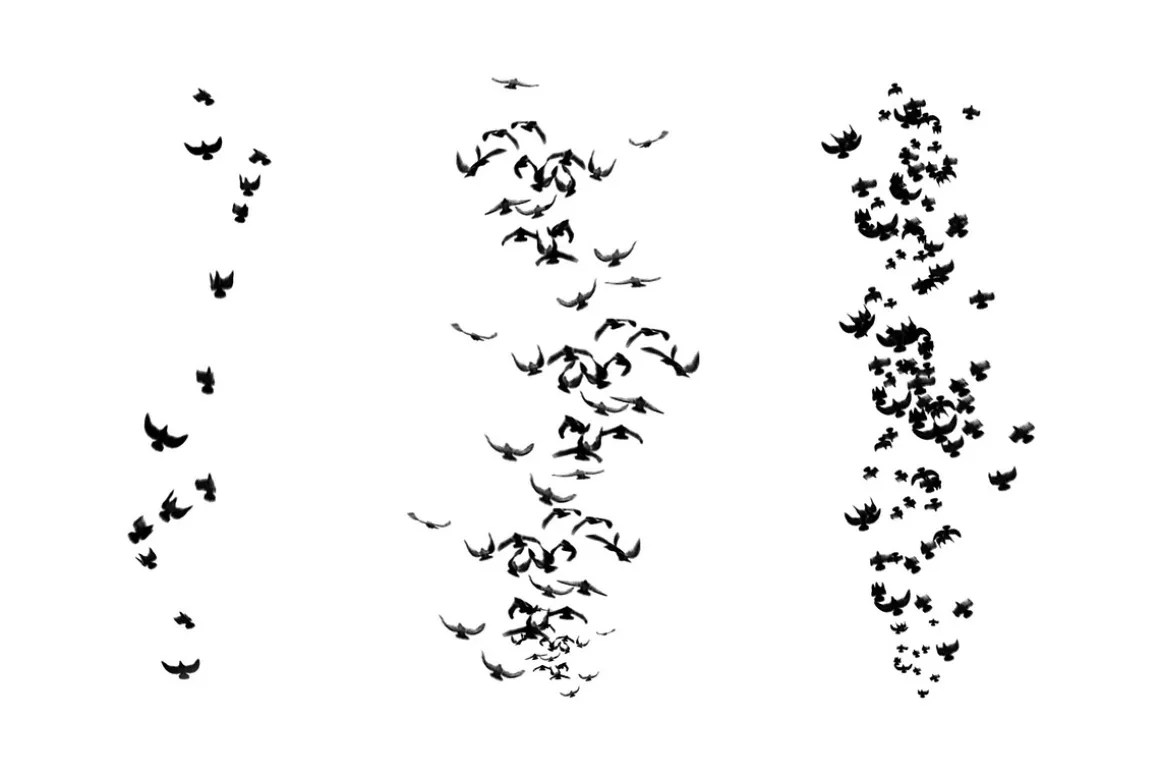 Birds Brush Set