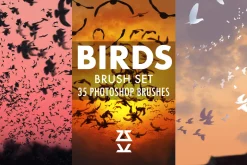 Birds Brush Set
