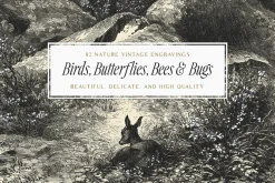 82 Birds, Butterflies, Bees & Bugs