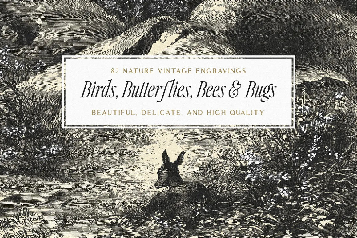 82 Birds, Butterflies, Bees & Bugs