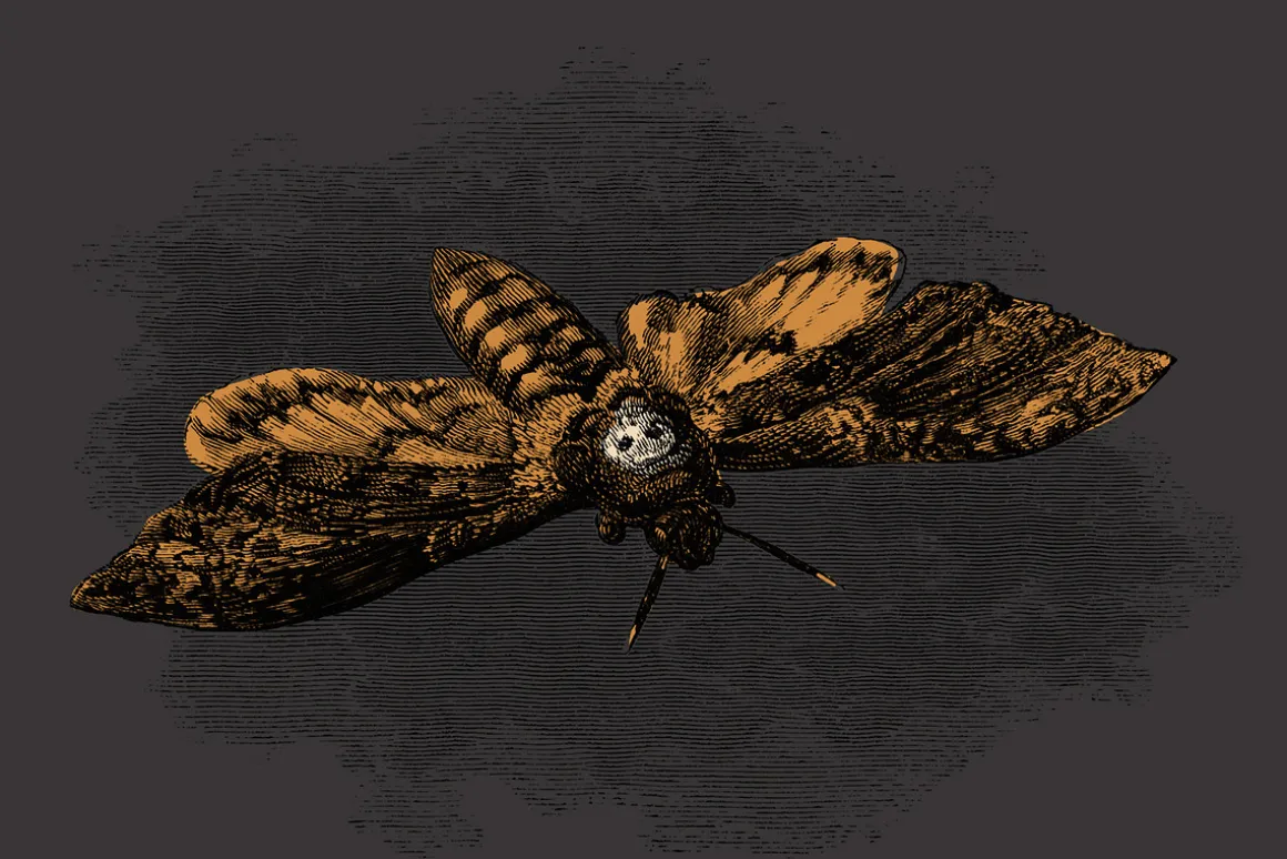 82 Birds, Butterflies, Bees & Bugs