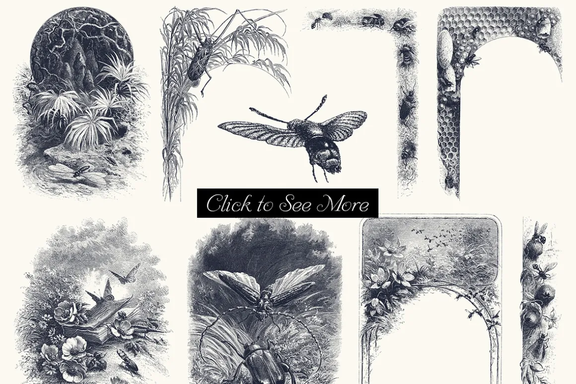 82 Birds, Butterflies, Bees & Bugs