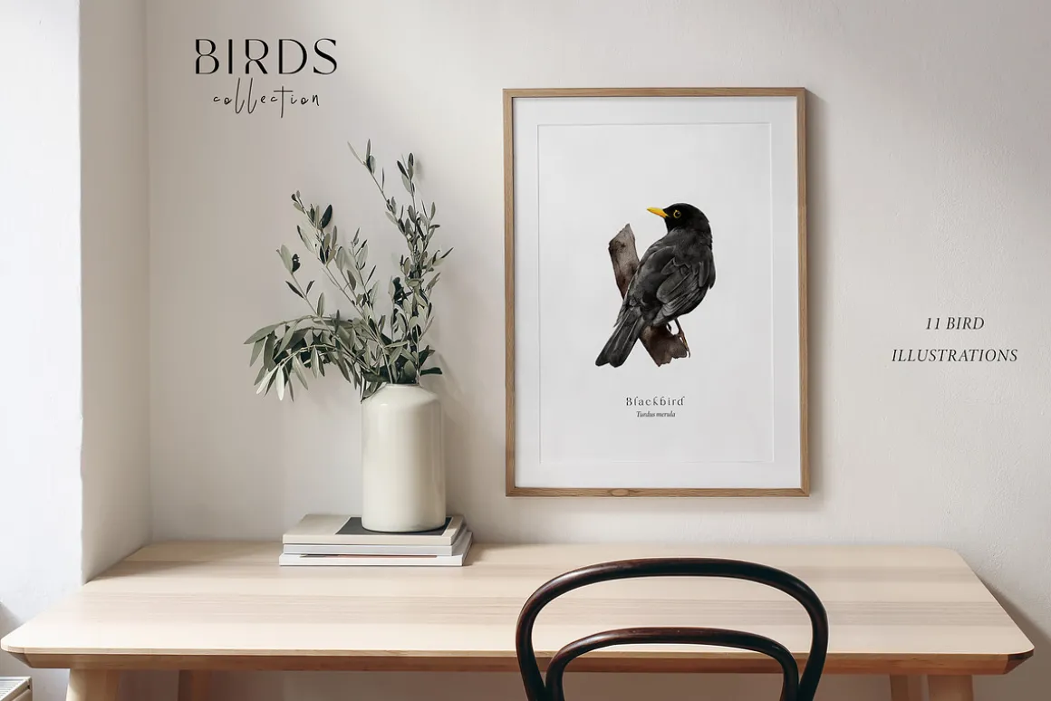Birds watercolor illustrations set