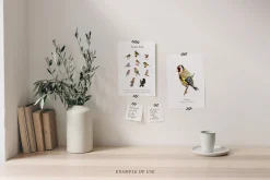 Birds watercolor illustrations set