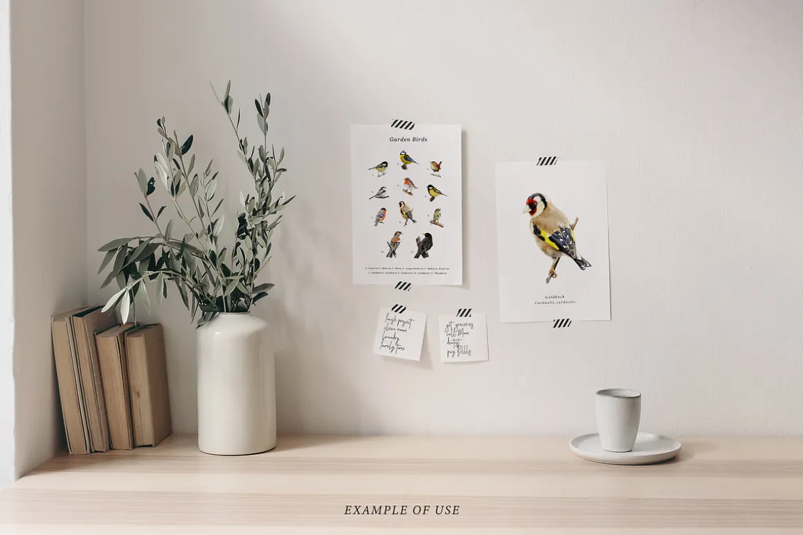 Birds watercolor illustrations set