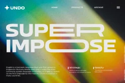 Bizmo; 18 Fonts of Display Family