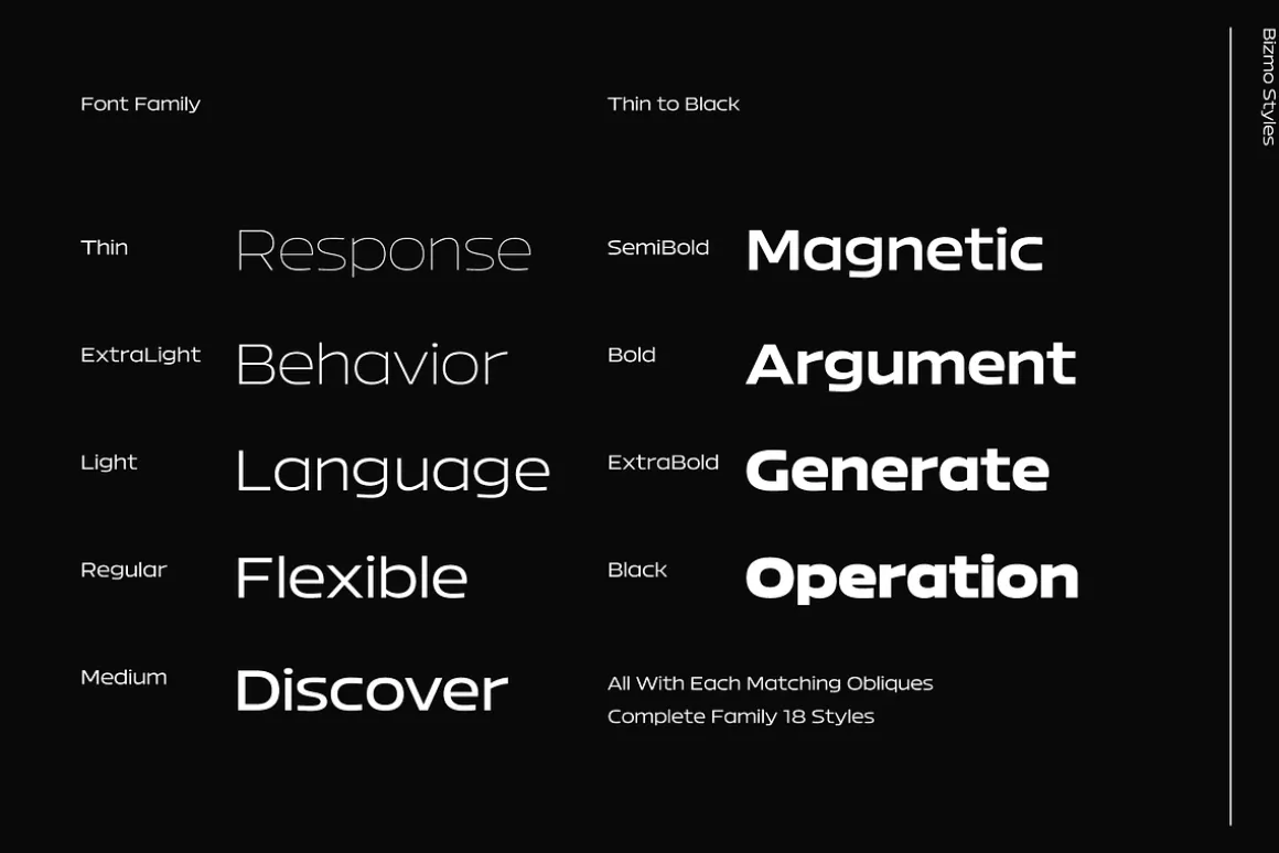 Bizmo; 18 Fonts of Display Family
