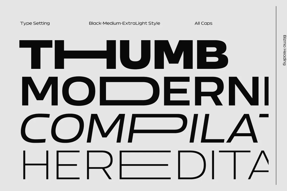 Bizmo; 18 Fonts of Display Family