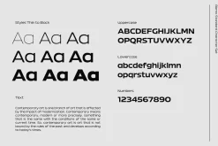 Bizmo; 18 Fonts of Display Family